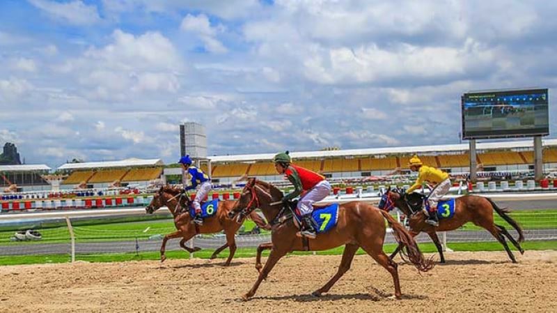 Giải thích các tỷ lệ cá cược trong Đua Ngựa 