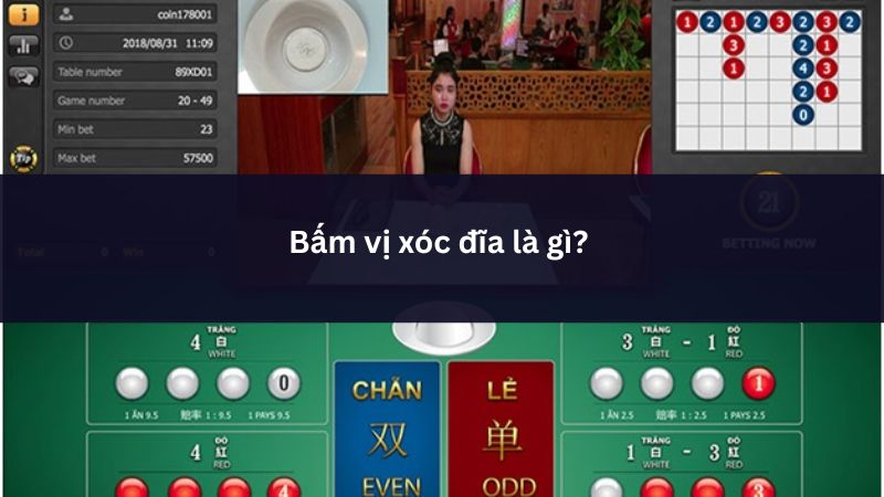 Bấm vị xóc đĩa chiến thuật soi cầu hiệu quả